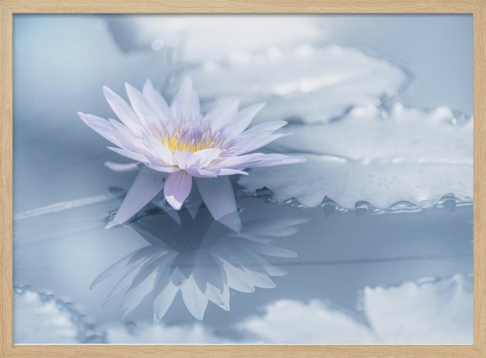 Reflection | Poster