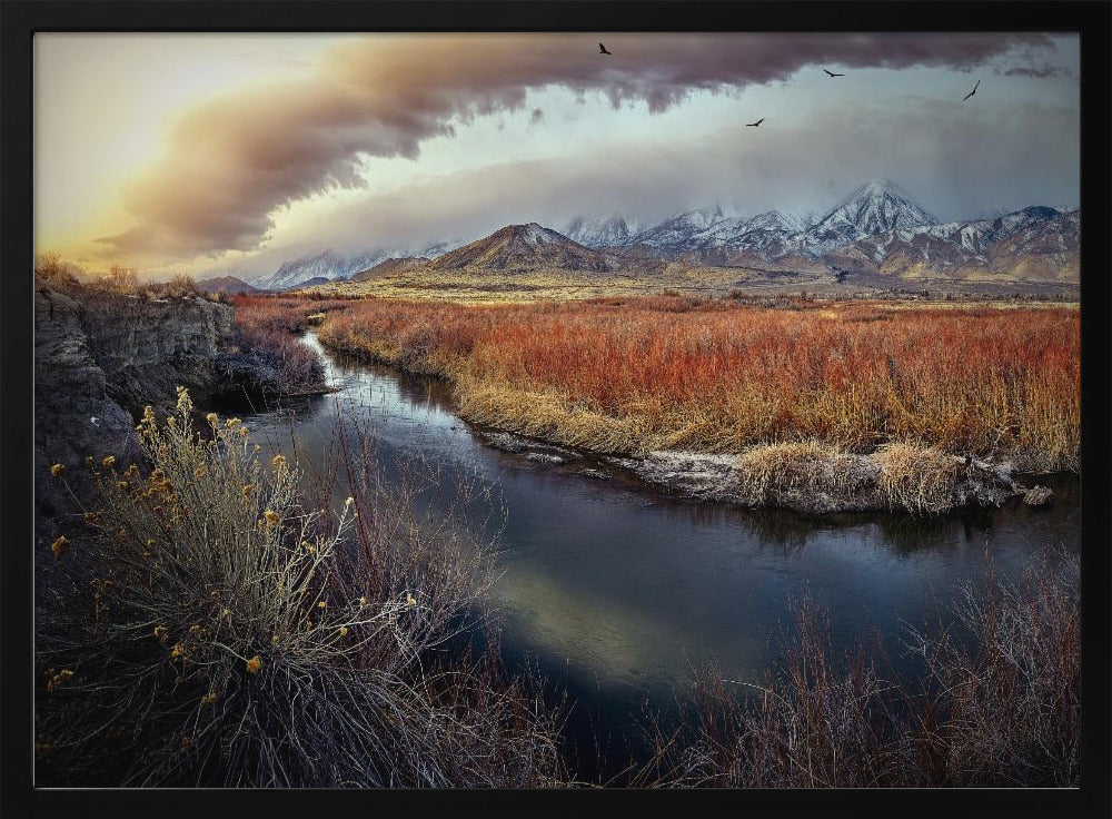 Owens River bij zonsopgang | Poster