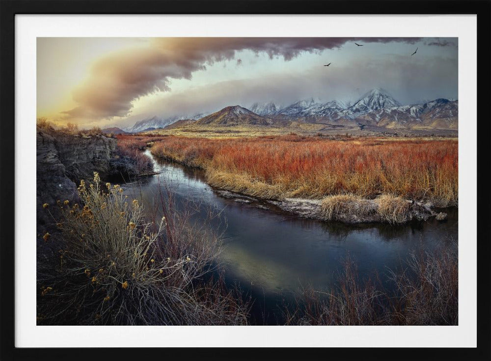 Owens River bij zonsopgang | Poster