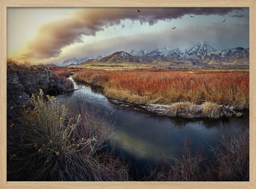 Owens River bij zonsopgang | Poster