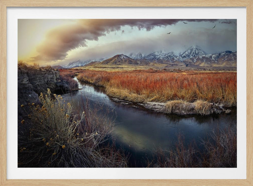Owens River bij zonsopgang | Poster
