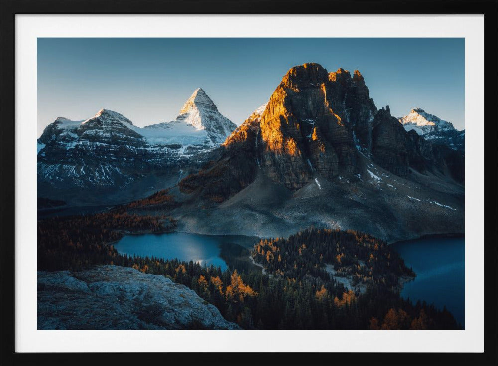 Ochtendzonlicht | Poster