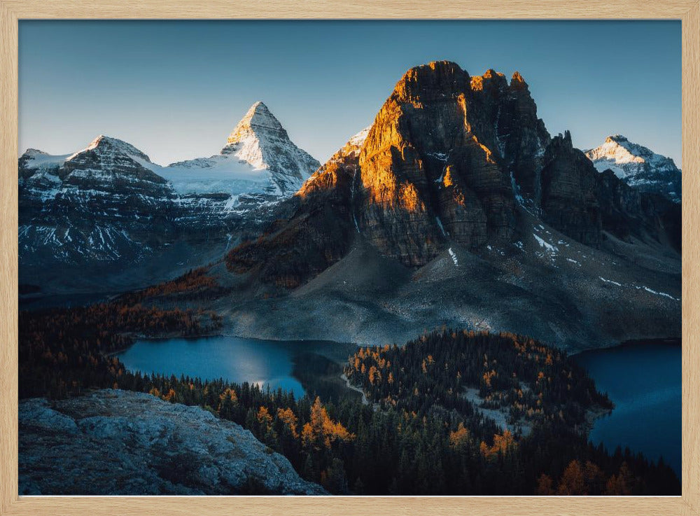 Ochtendzonlicht | Poster