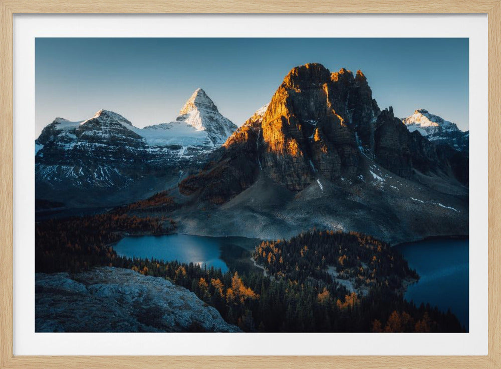 Ochtendzonlicht | Poster
