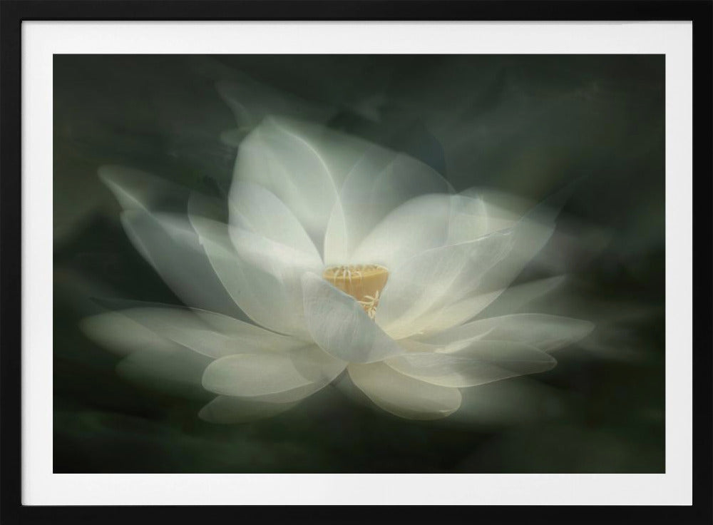 Swaying | Poster