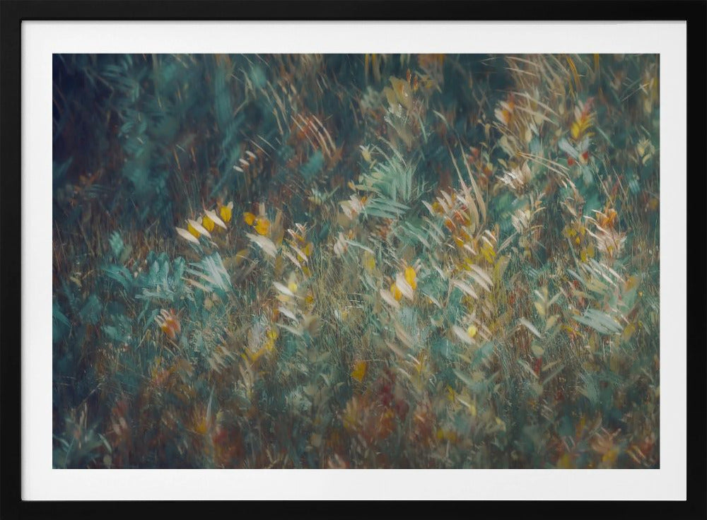 Nazomer | Poster