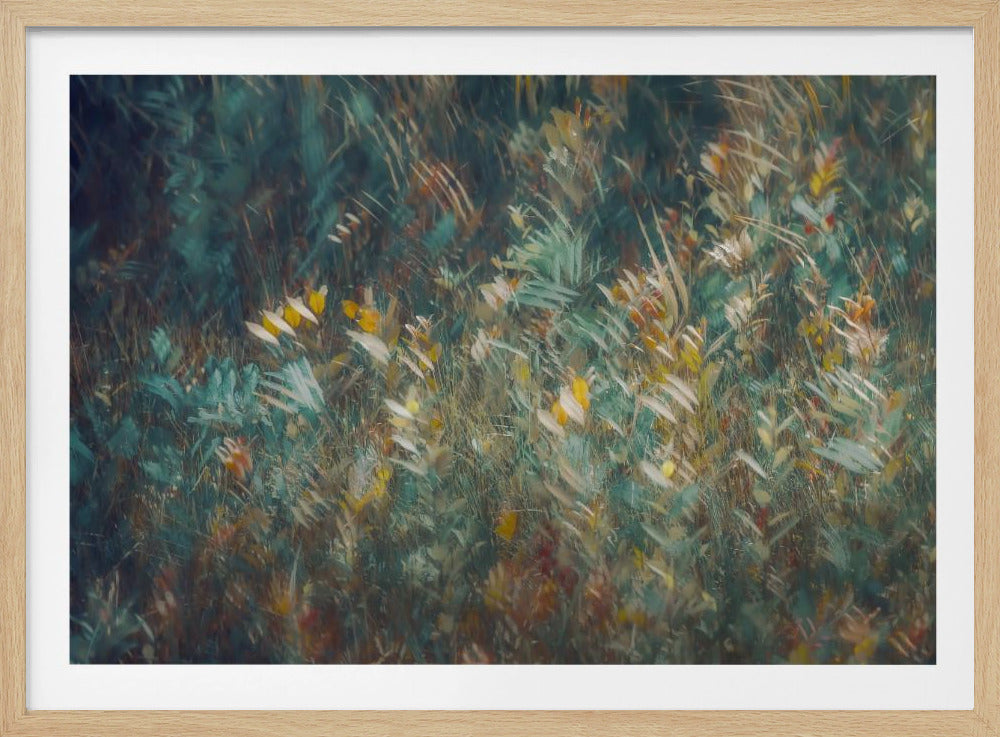 Nazomer | Poster