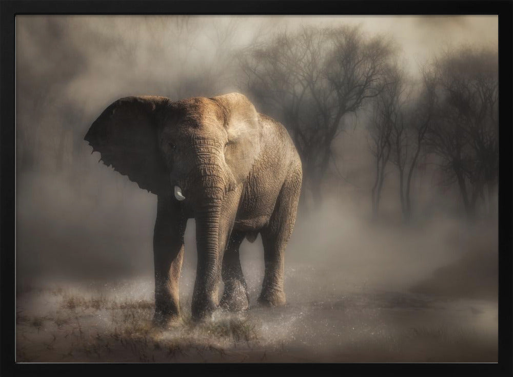 “....elephant drinking water...’ | Poster