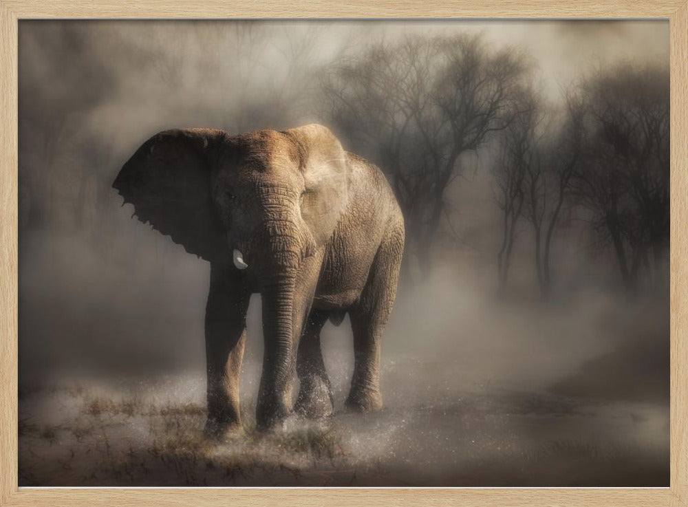 “....elephant drinking water...’ | Poster