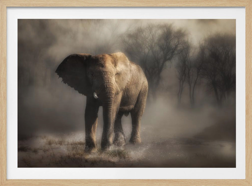 “....elephant drinking water...’ | Poster