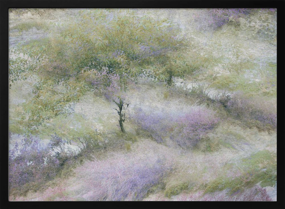 Bloeiende heide | Poster