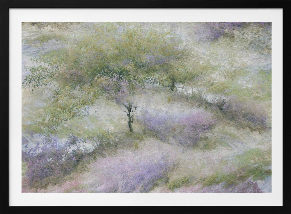 Bloeiende heide | Poster