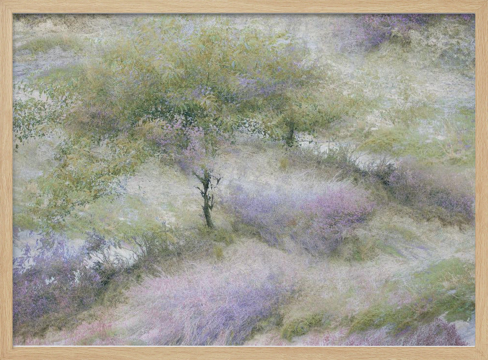 Bloeiende heide | Poster