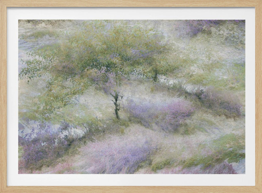 Bloeiende heide | Poster
