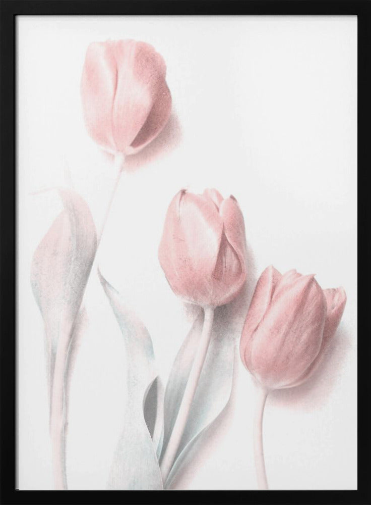 Sweet Pink | Poster