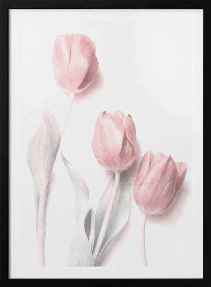 Sweet Pink | Poster