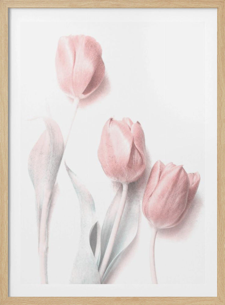 Sweet Pink | Poster