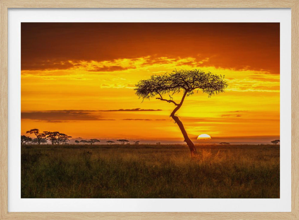 Oer-Afrika | Poster