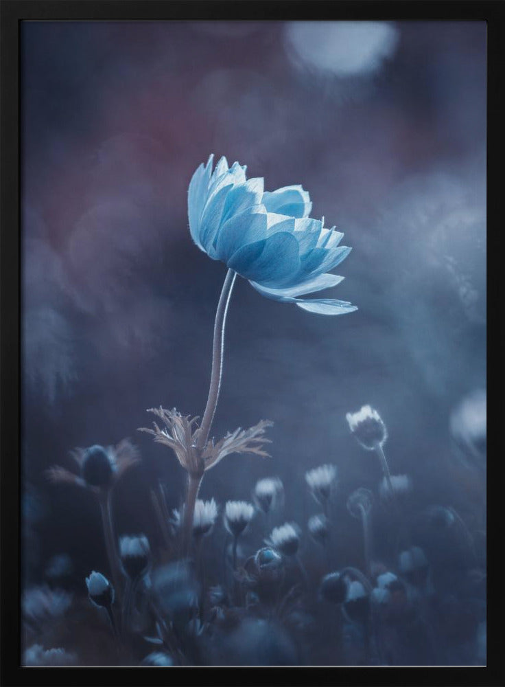 Een kort verhaal over bloemen | Poster