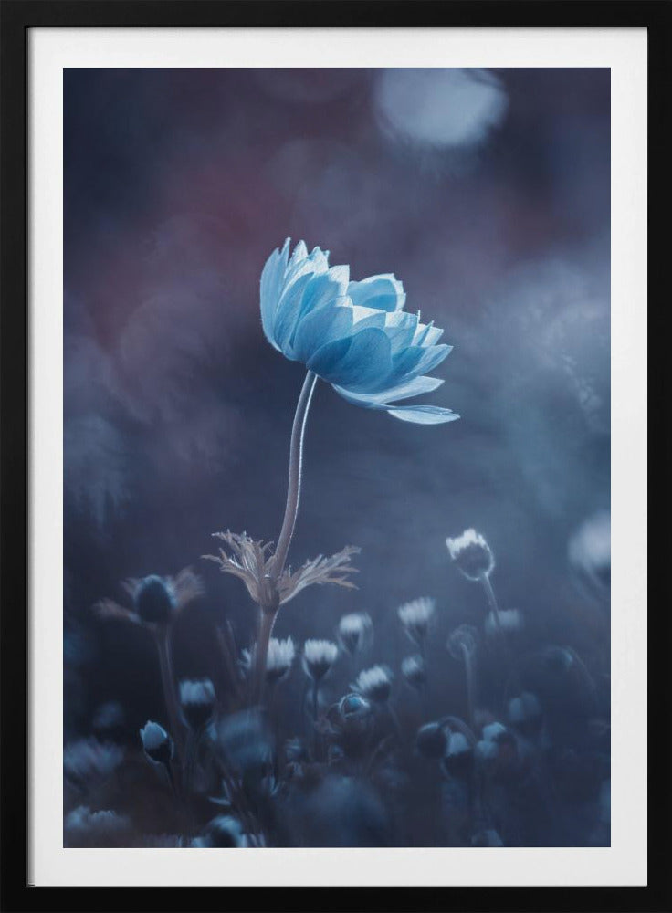 Een kort verhaal over bloemen | Poster