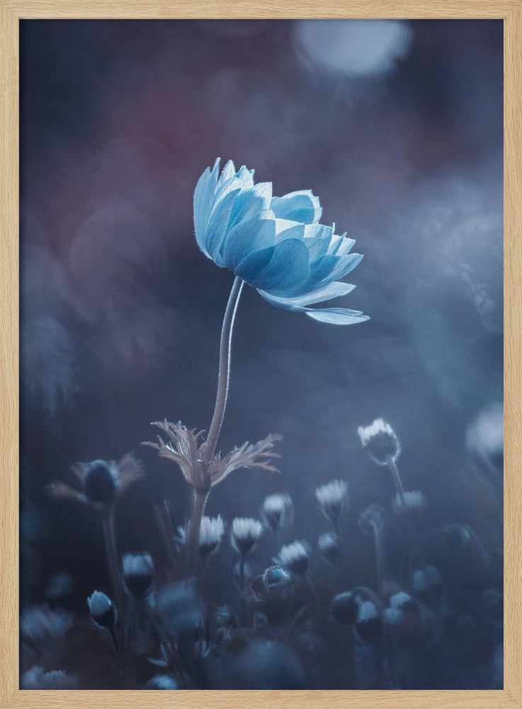 Een kort verhaal over bloemen | Poster