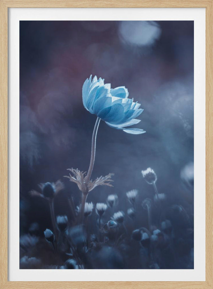 Een kort verhaal over bloemen | Poster
