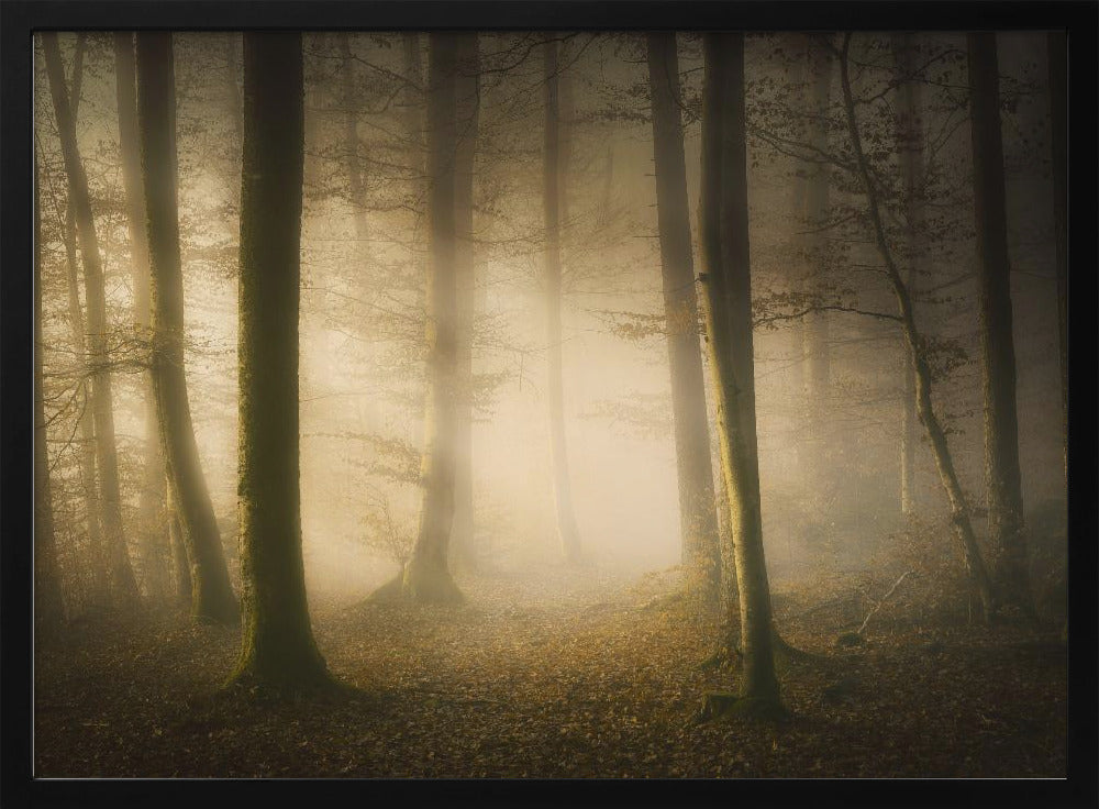 November Fluisteringen | Poster
