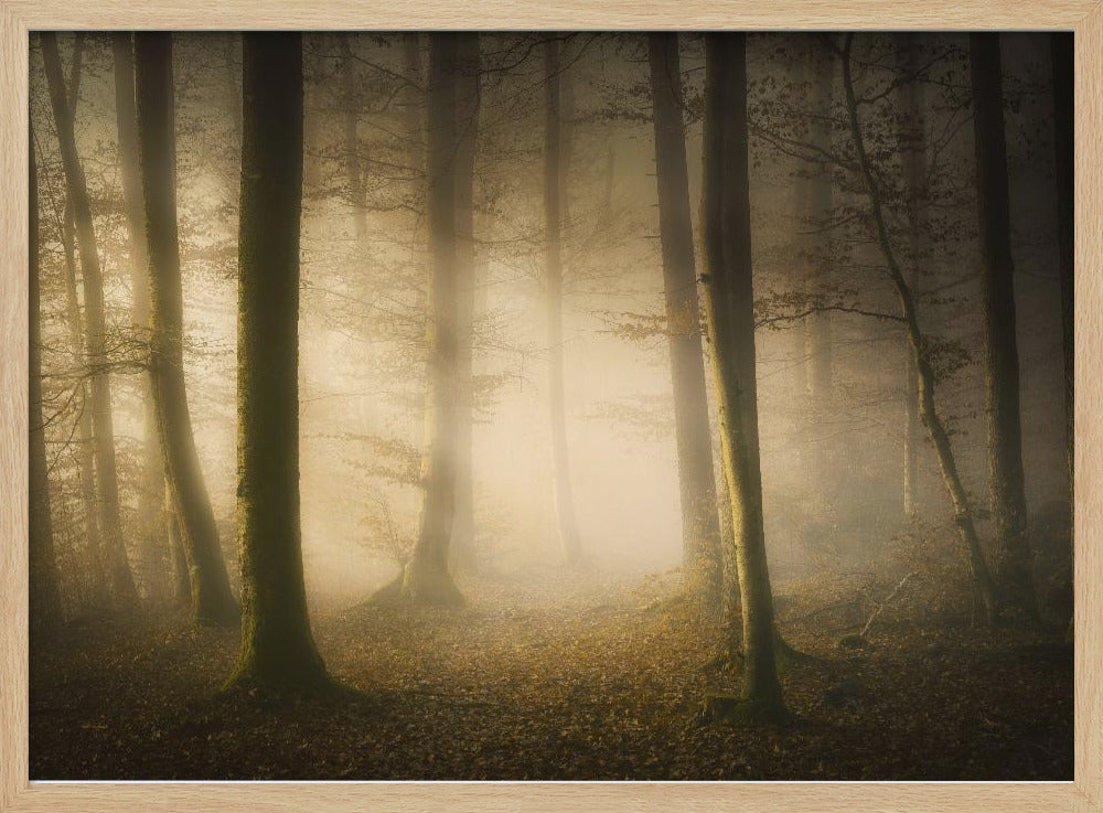 November Fluisteringen | Poster