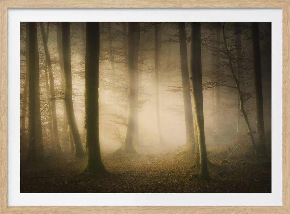 November Fluisteringen | Poster