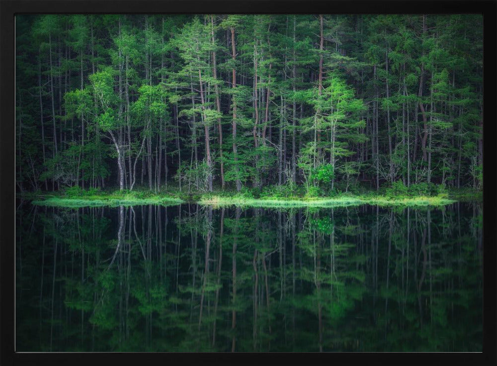 Groene Wereld | Poster