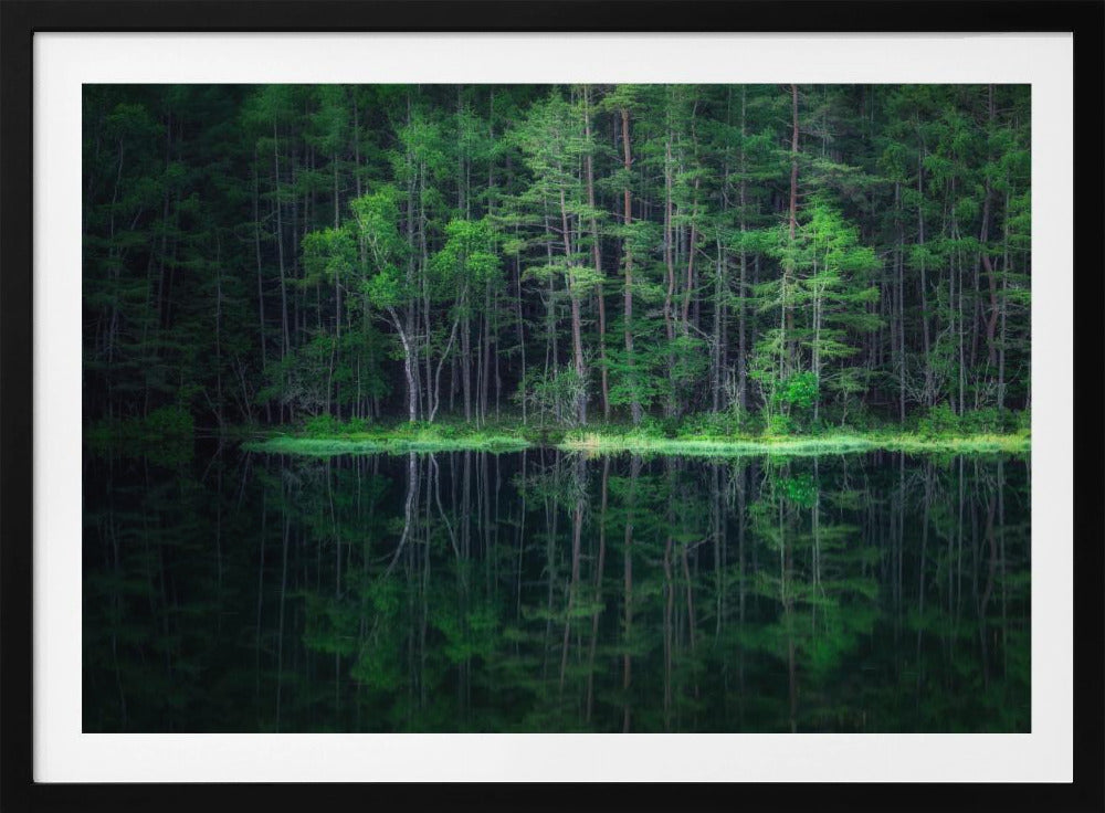 Groene Wereld | Poster