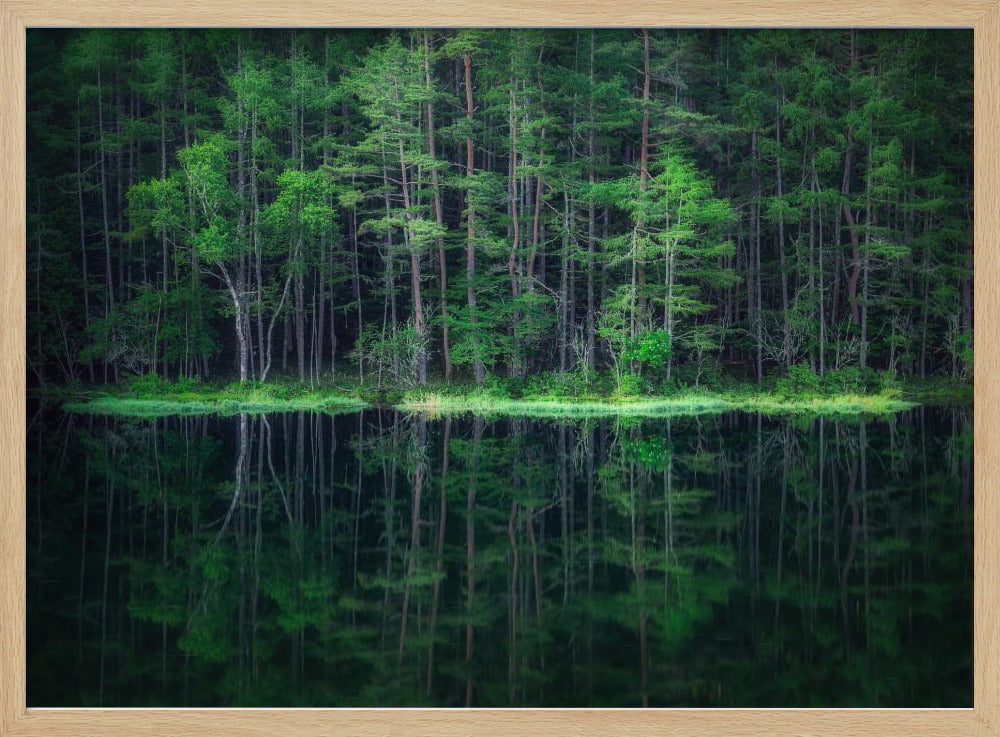 Groene Wereld | Poster