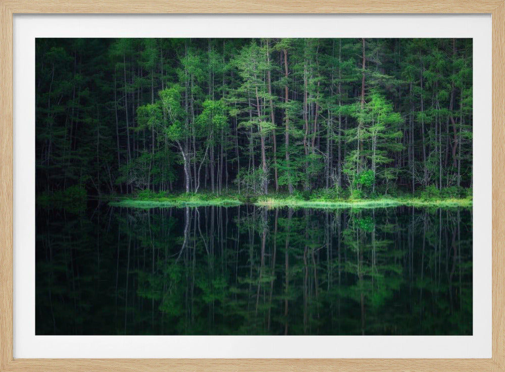 Groene Wereld | Poster