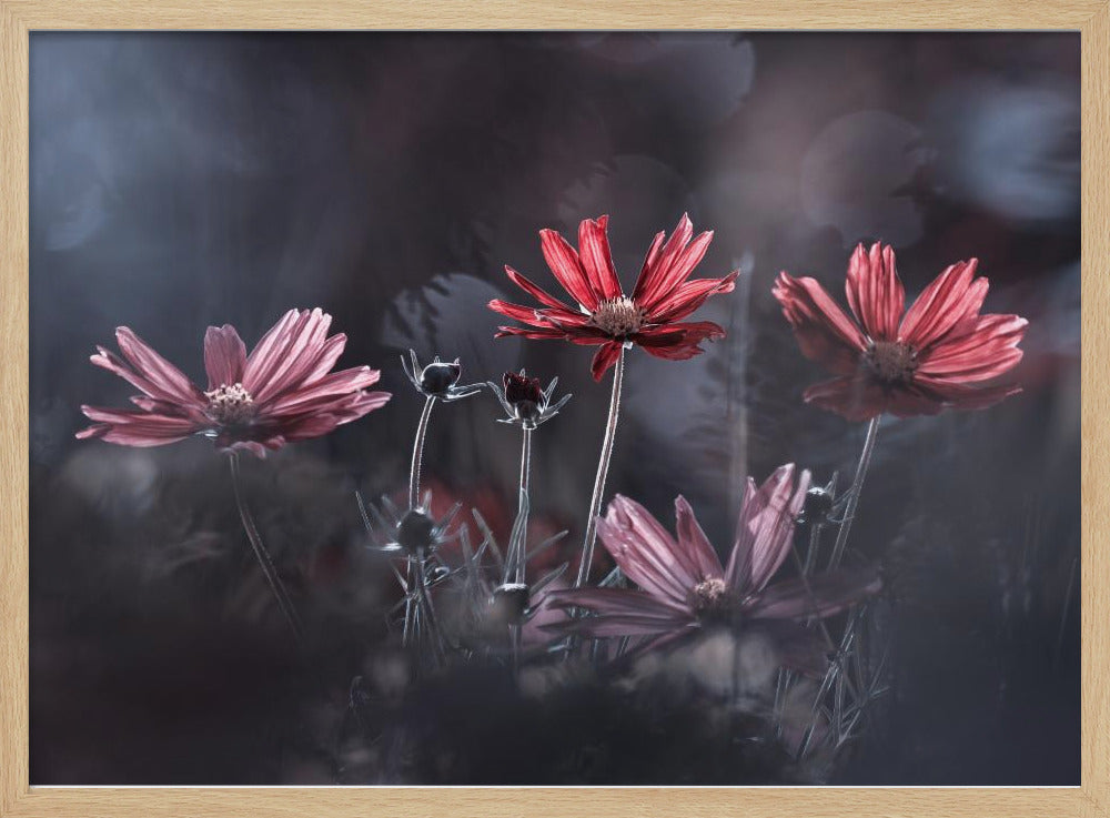 De bloemen van het goede | Poster