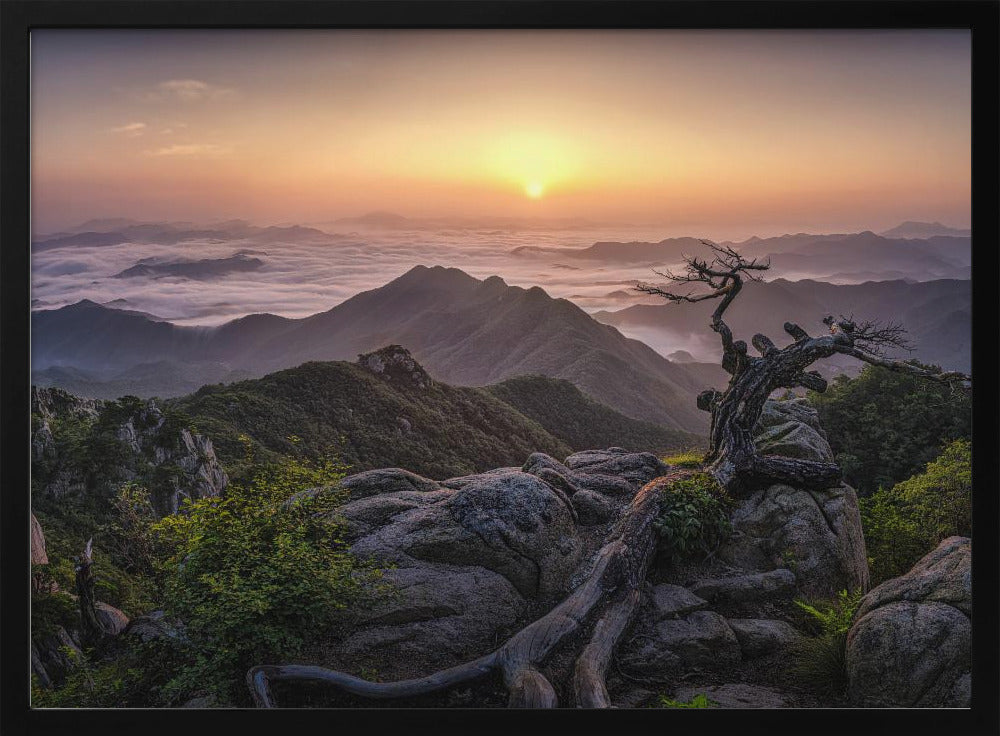 Zonsopgang op de top | Poster