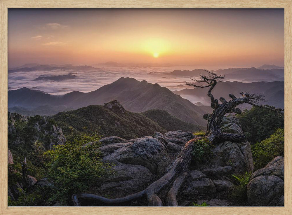 Zonsopgang op de top | Poster