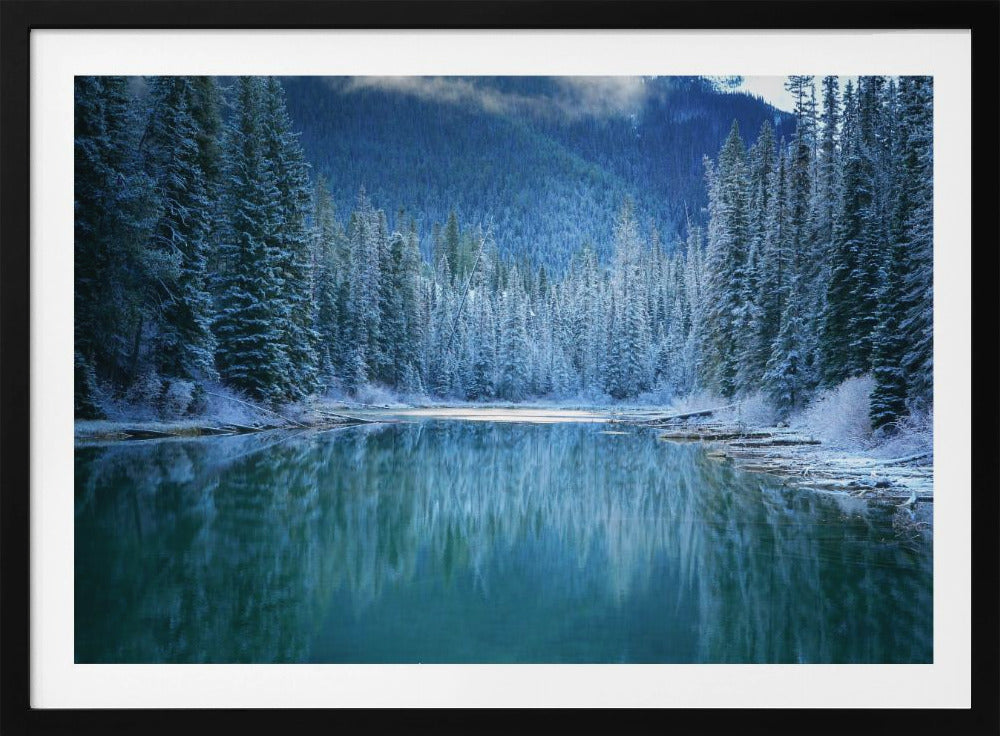 Wonder Winterland | Poster
