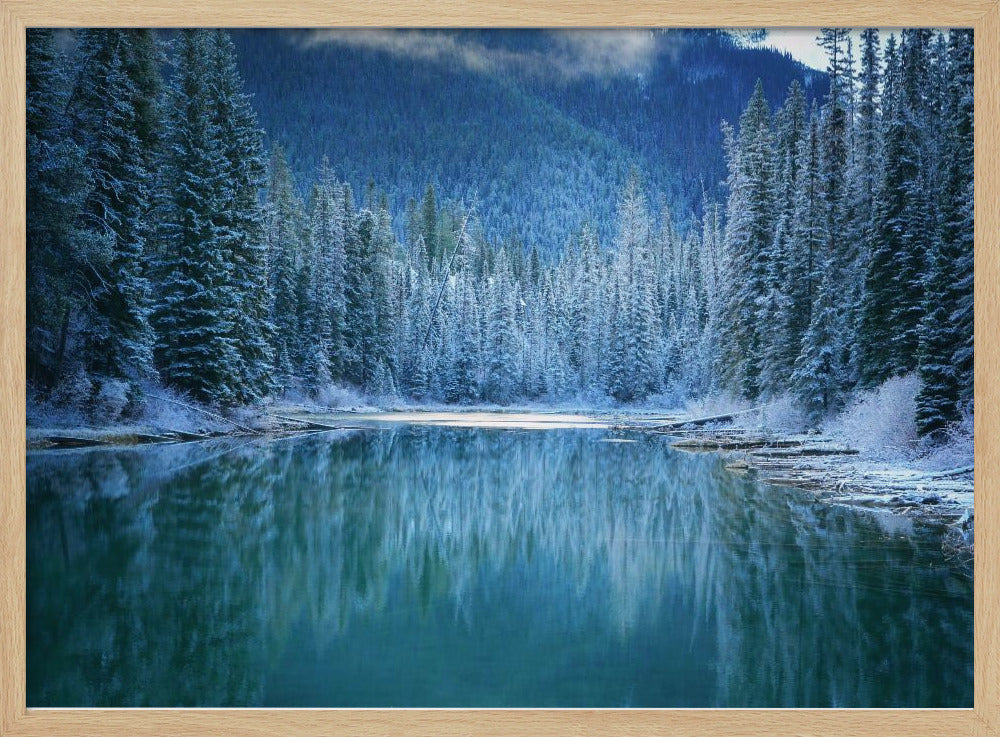 Wonder Winterland | Poster