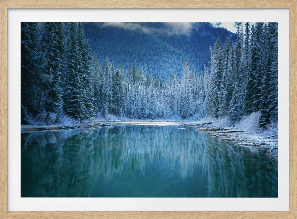 Wonder Winterland | Poster