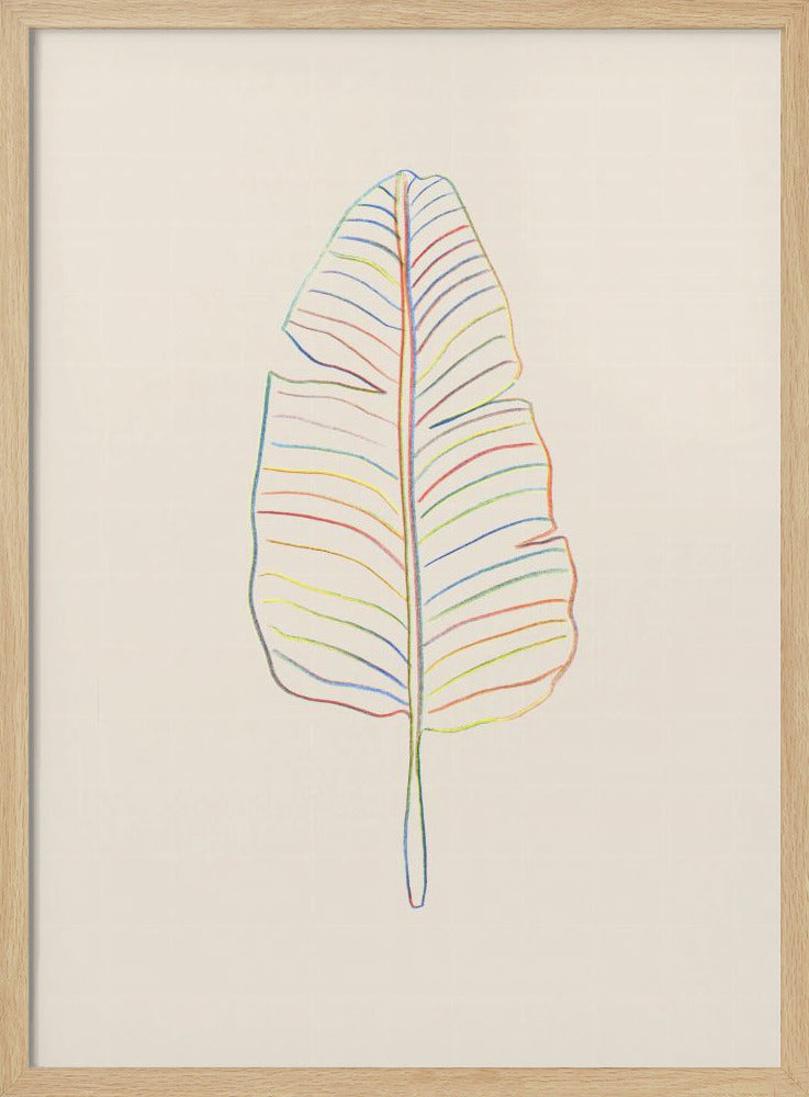 Bananenregenboogblad | Poster