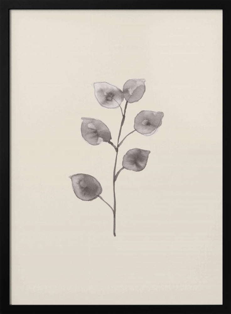 Eucalyptustakje | Poster
