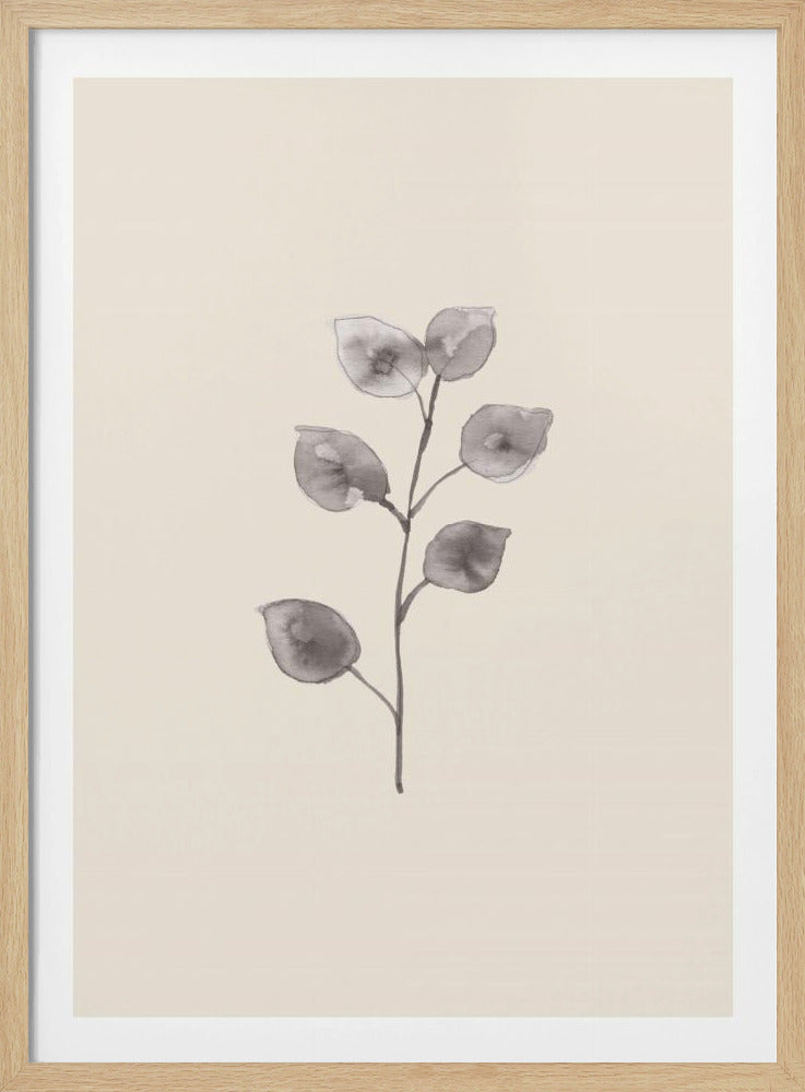 Eucalyptustakje | Poster