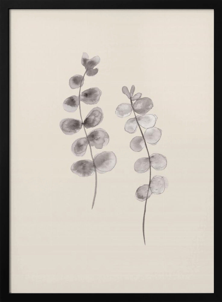 Eucalyptus takjes | Poster