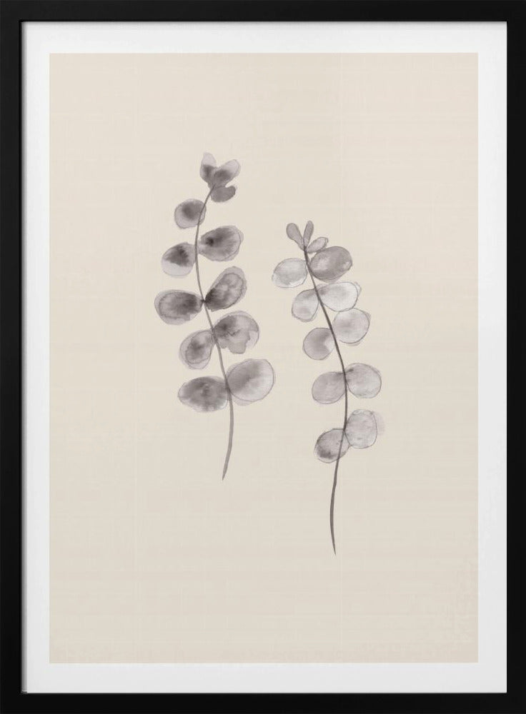 Eucalyptus takjes | Poster