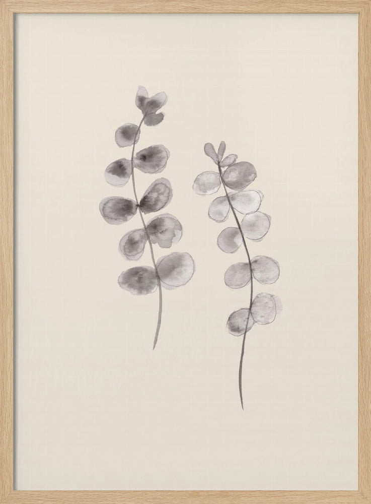 Eucalyptus takjes | Poster