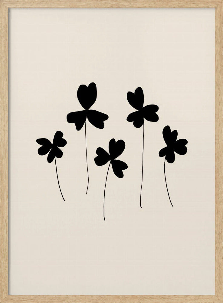 Zwarte zuring | Poster