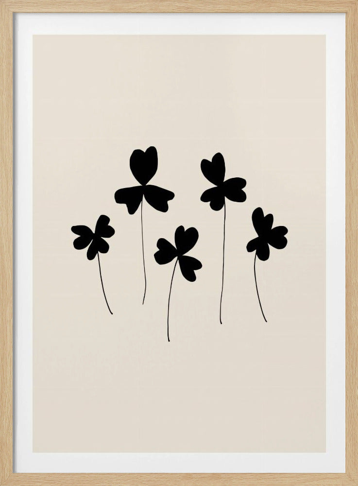Zwarte zuring | Poster
