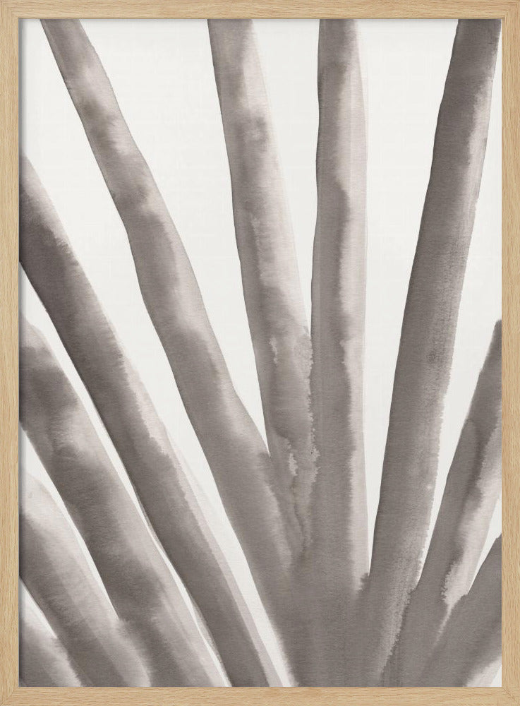 Aloë vera | Poster