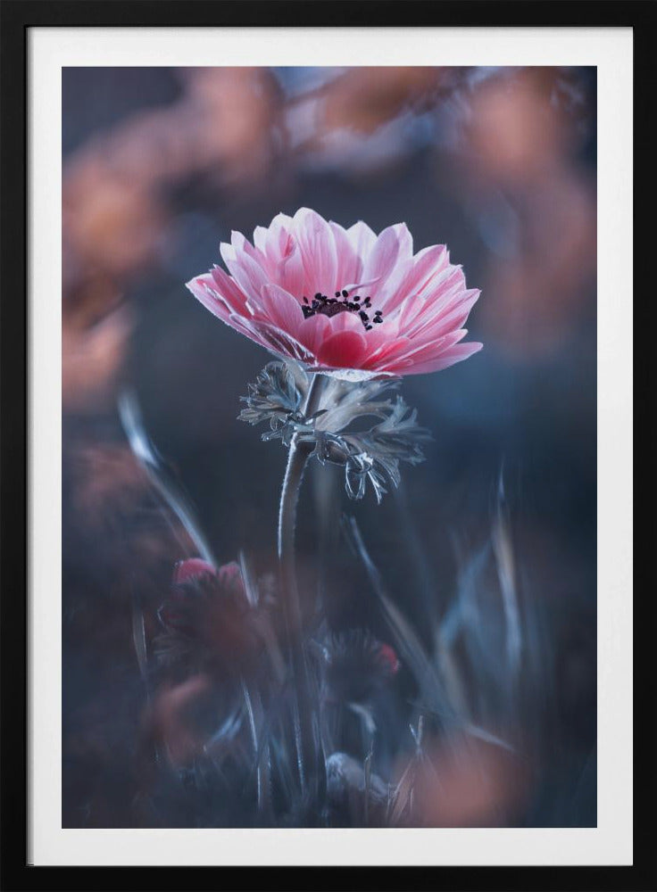 Staand in schoonheid | Poster