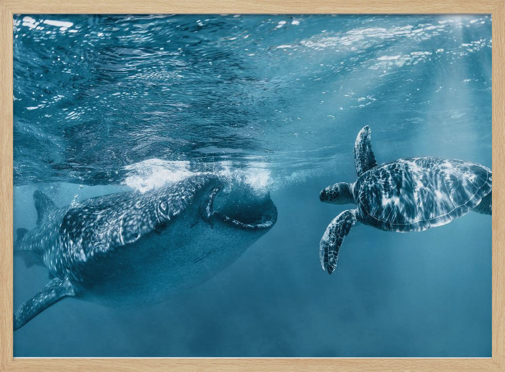 Eenmaal bij de oceaan | Poster